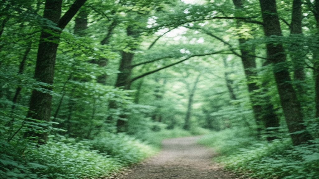 Serene natural landscape with soft morning light and quiet forest path